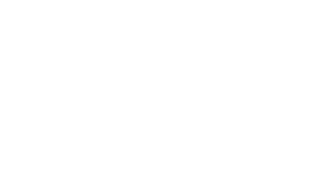 The Chinelo Mbadugha Foundation